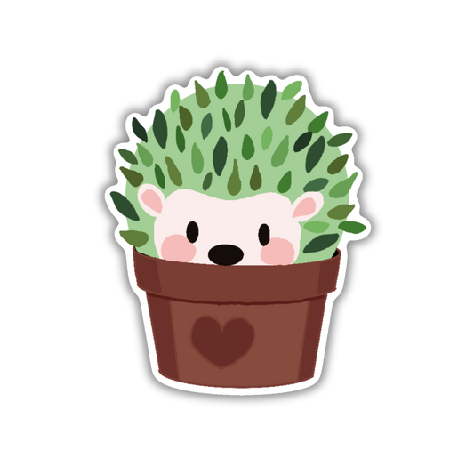 Succulent Hedgehog