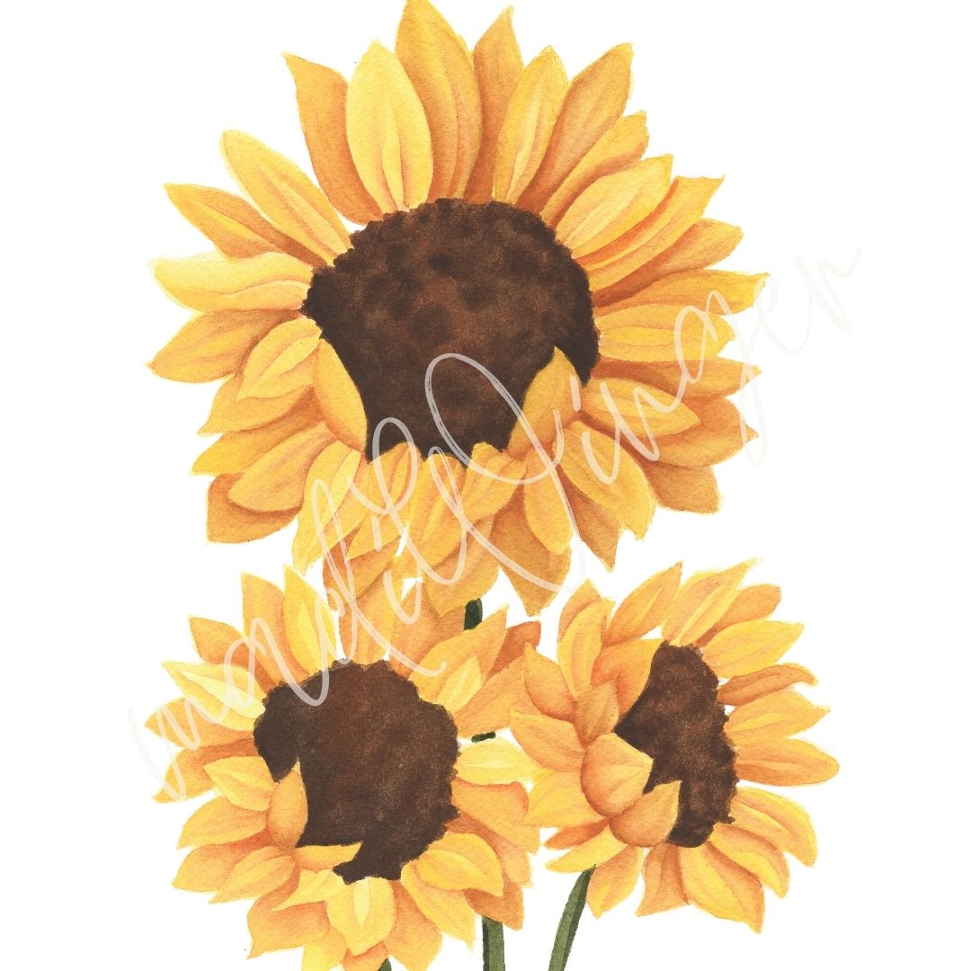 Sunflower Bouquet