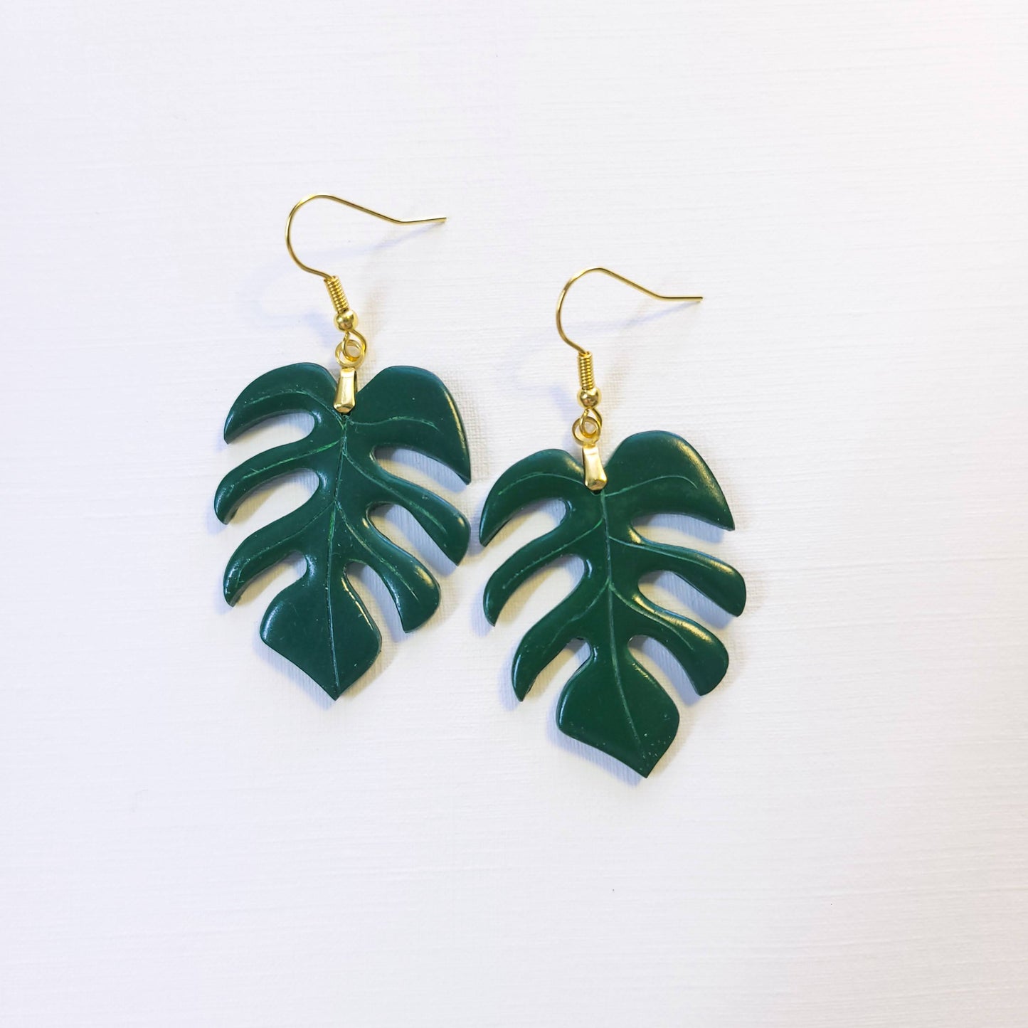 Monstera