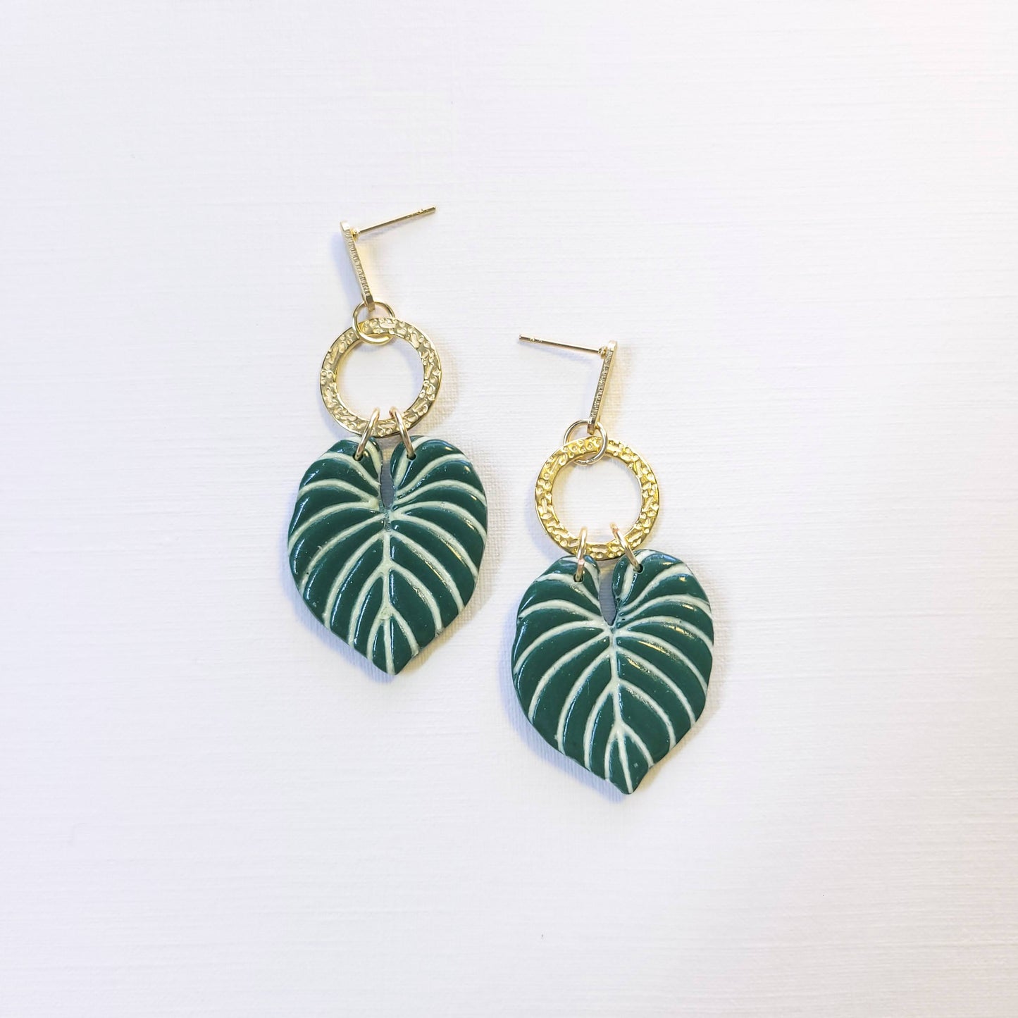 Philodendron
