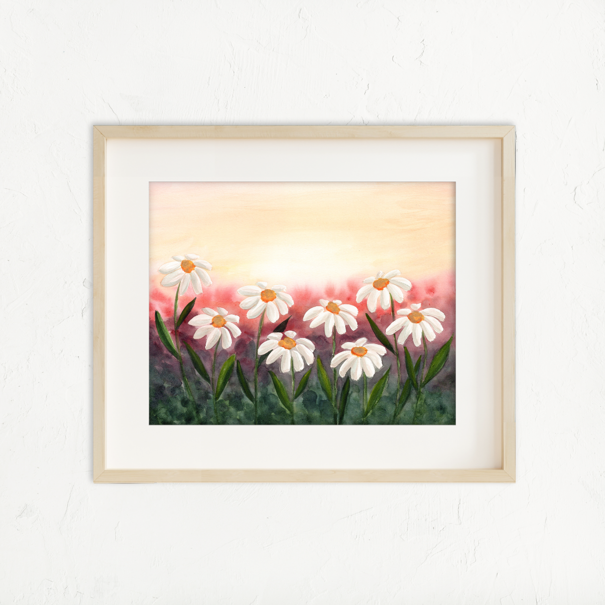 Sunset Daisies