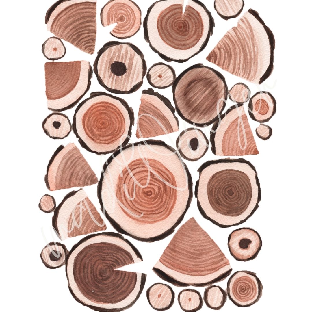 Wood Slice