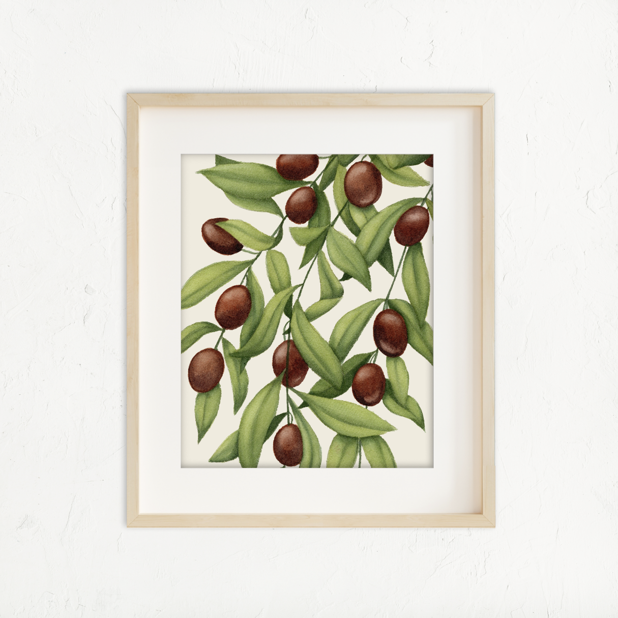 Olive Branch