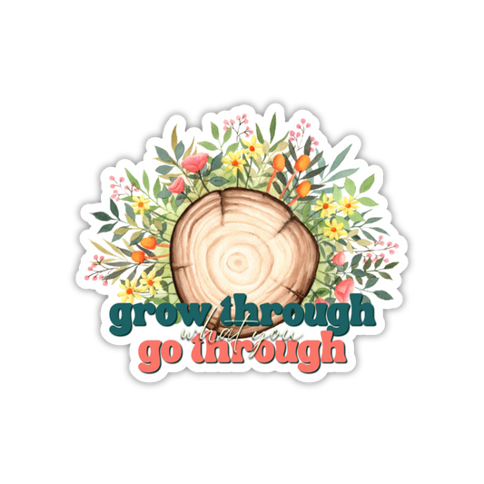 Grow through what you go through
