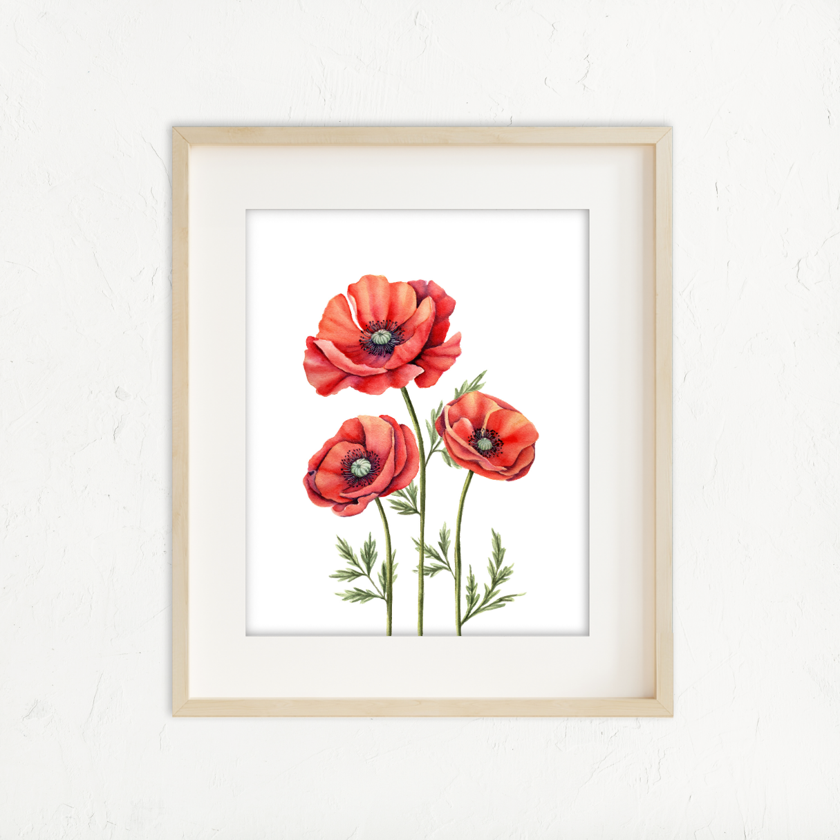 Red Poppies Cluster