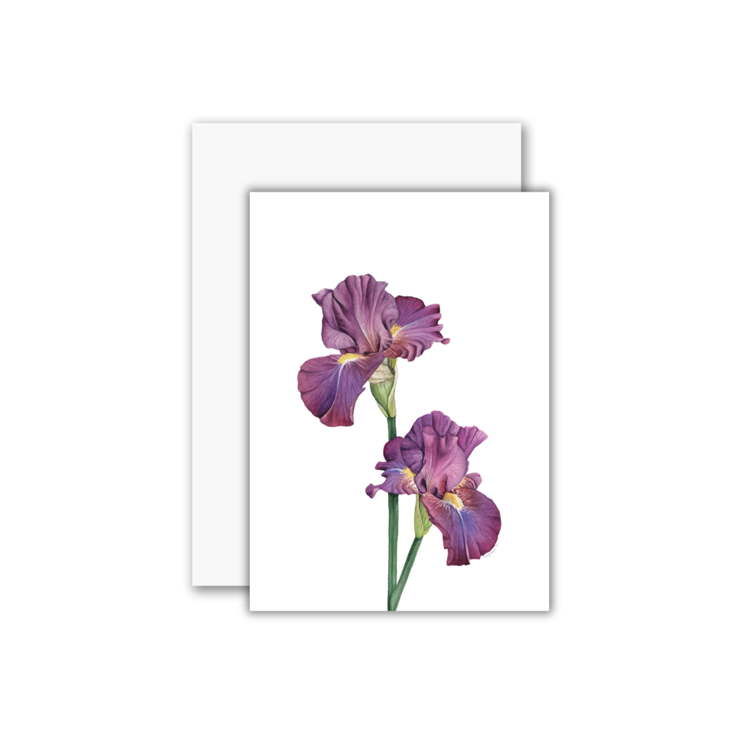 Purple Irises Greeting Card
