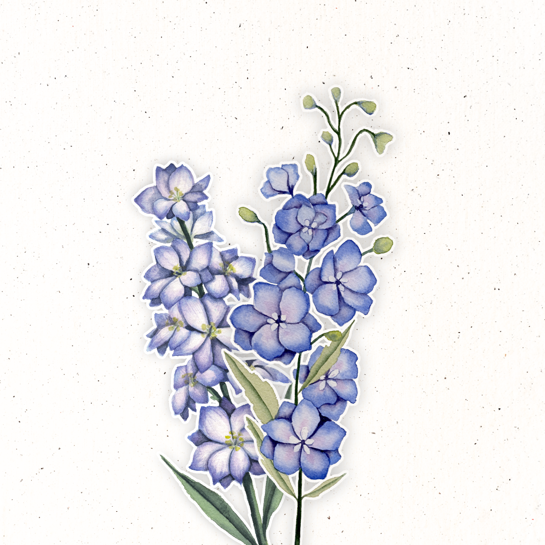 July Birth Flower- Larkspur