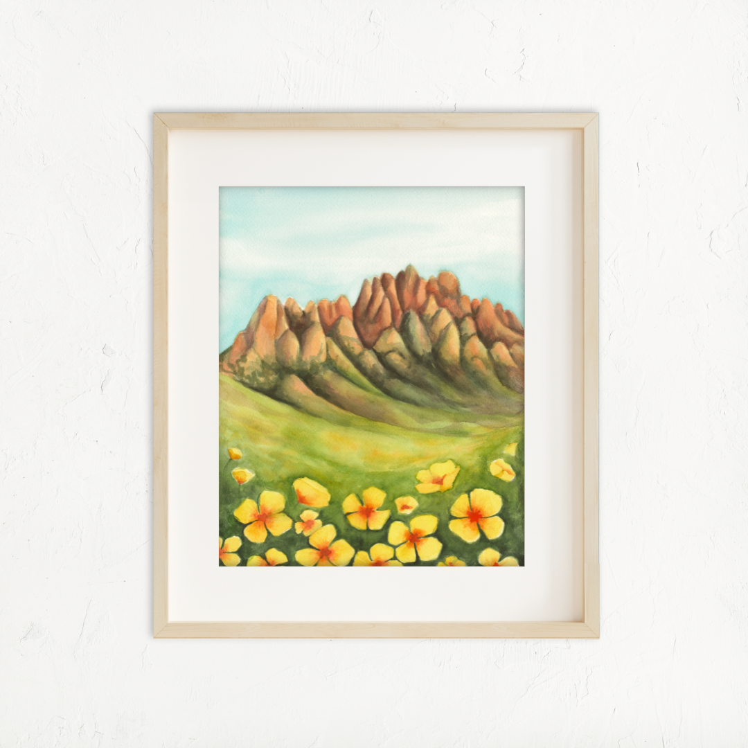 Organ Mountains Poppies