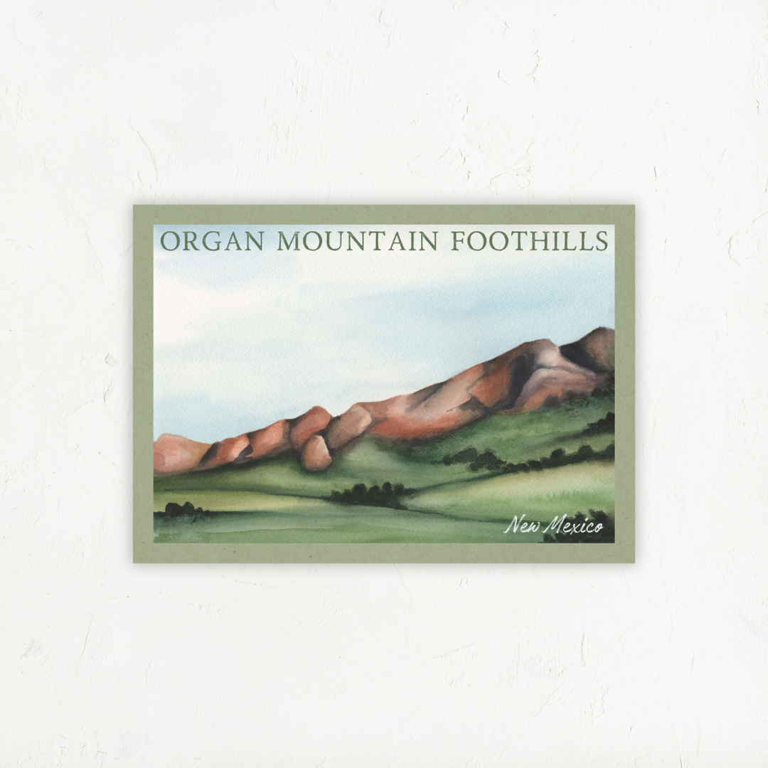 Organ Mountain Foothills Postcard