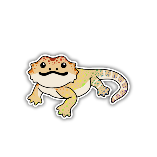 Rainbow Bearded Dragon