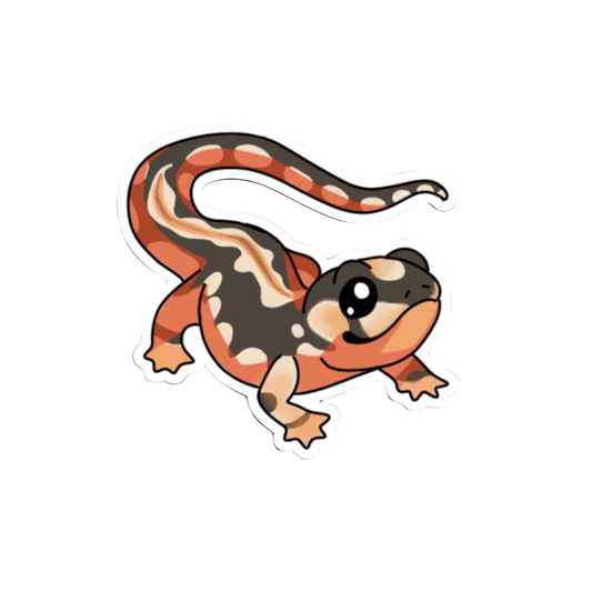 Fire Skink