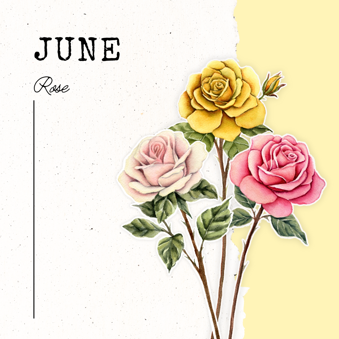 June Birth Flower- Rose