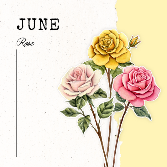 June Birth Flower- Rose