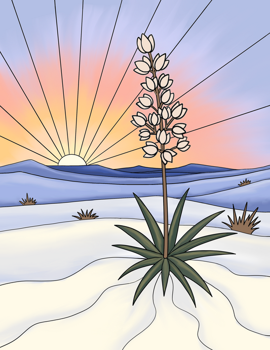 White Sands Paint Kit