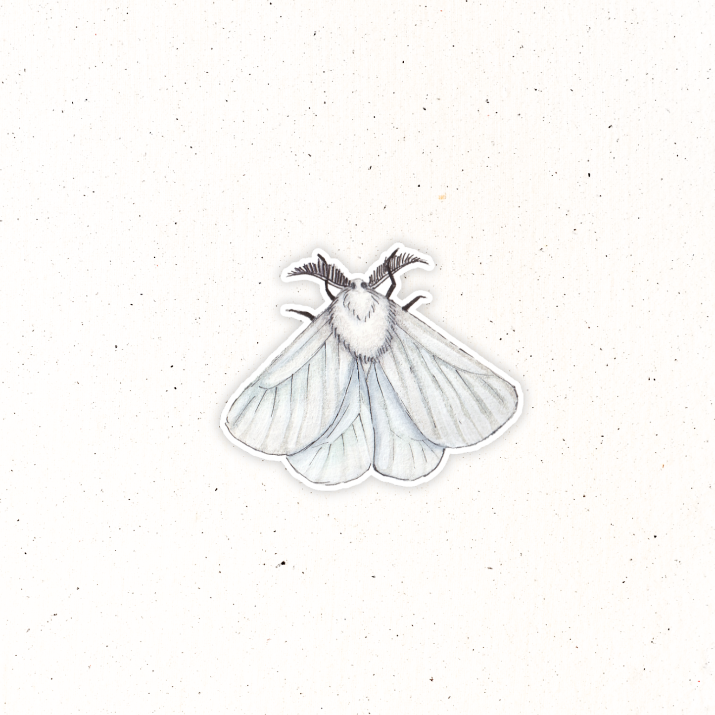 Garden Friends- White Moth