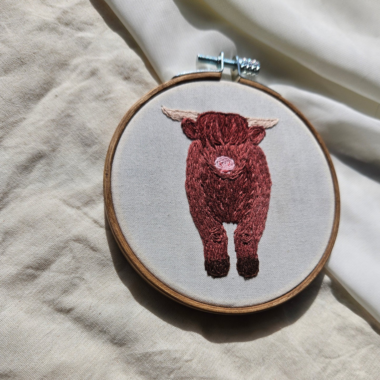 Highland Cow