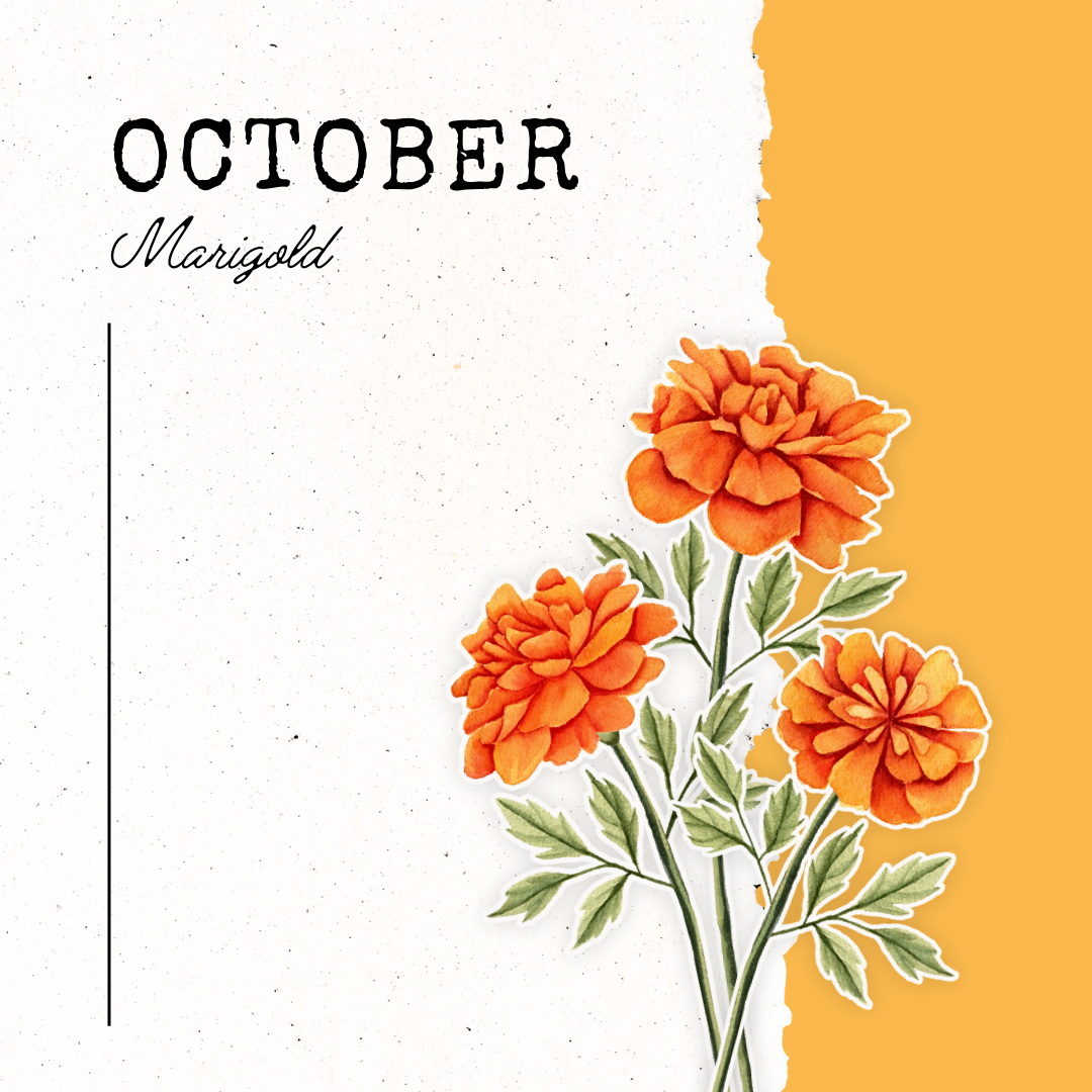 October Birth Flower- Marigold