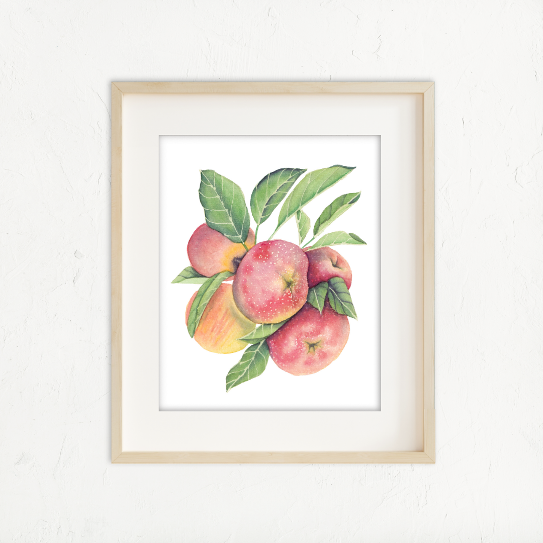 Apple Branch