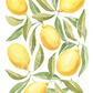 Lemons