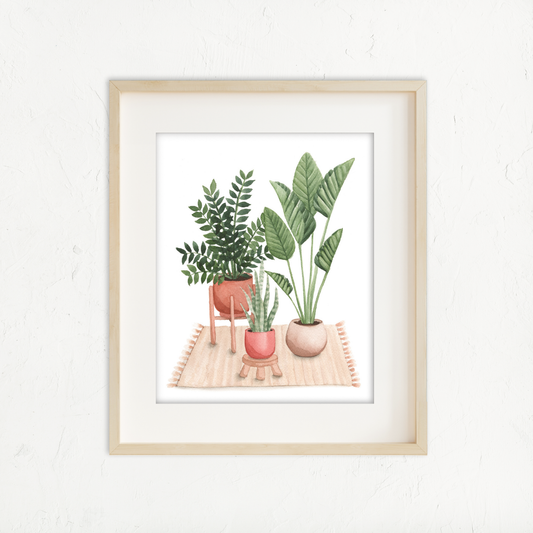 Houseplant Corner
