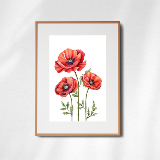 Red Poppies Cluster