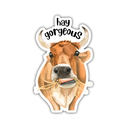 Hay Gorgeous Sticker