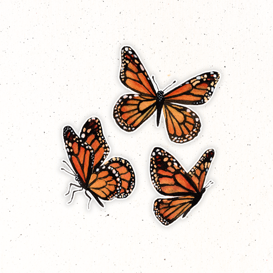 Pregnancy Loss- Monarch Butterfly