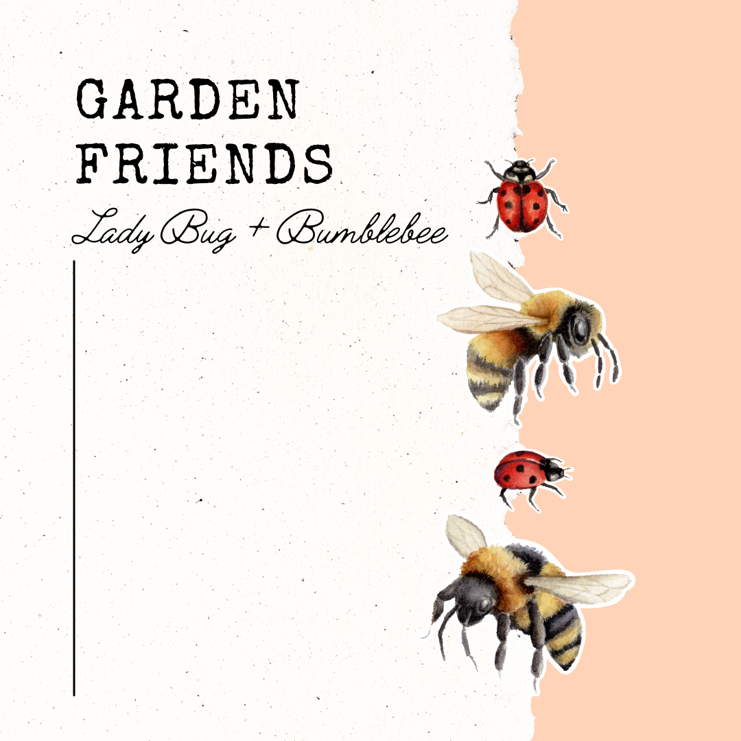 Garden Friends- Bumblebee and Ladybug