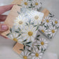 Light Green Daisy Coaster Set