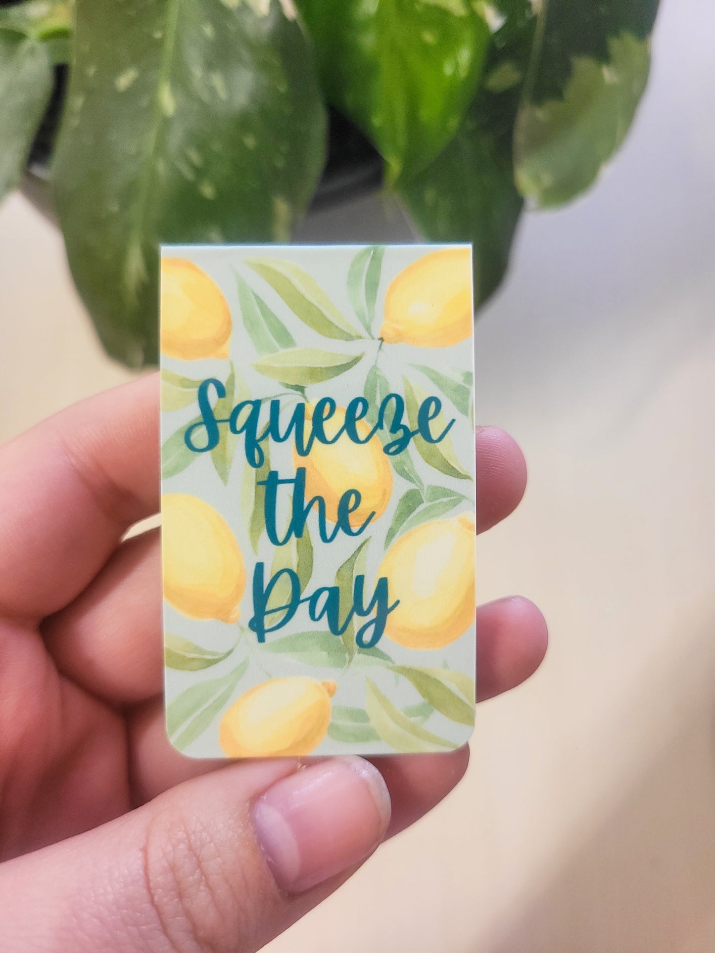 Squeeze the Day Magnetic Bookmark