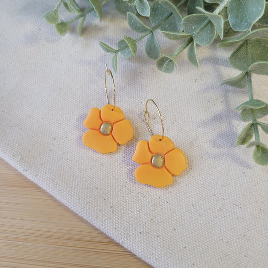 New Mexican Gold Poppies