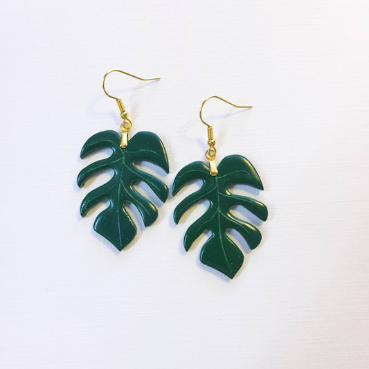 Monstera