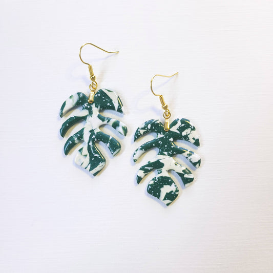 Variegated Monstera