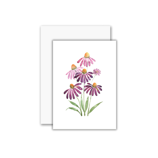 Echinacea Greeting Card