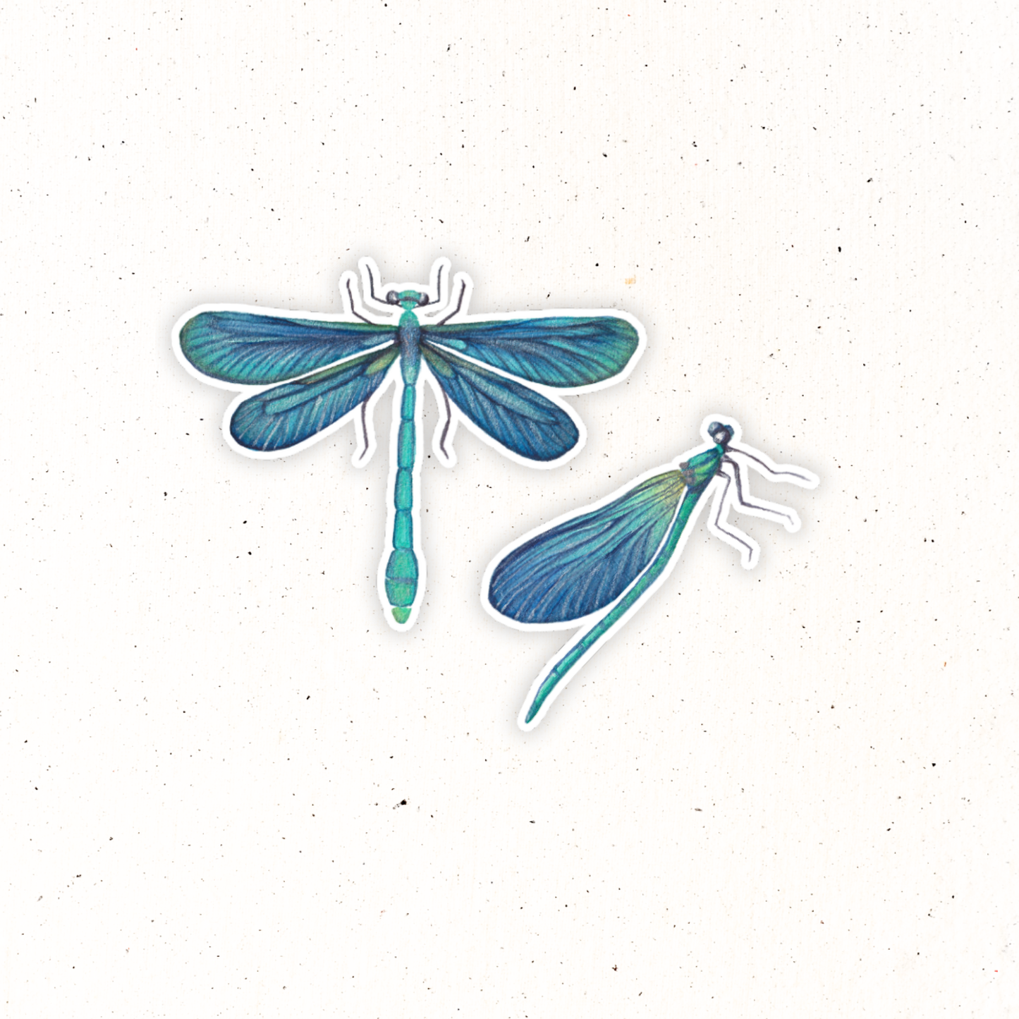 Garden Friends- Dragonfly