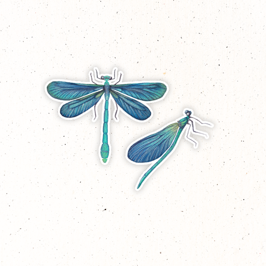 Garden Friends- Dragonfly
