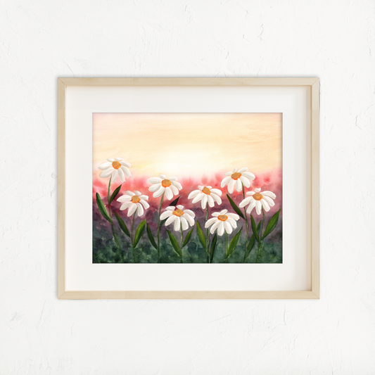 Sunset Daisies