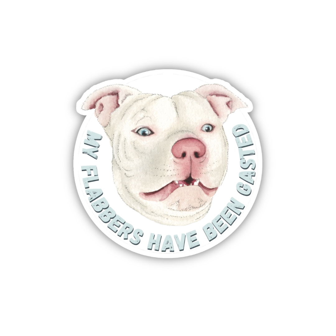 My Flabbers Have Been Gasted