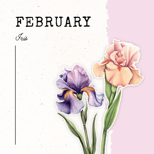 February Birth Flower- Iris