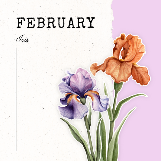 February Birth Flower- Iris