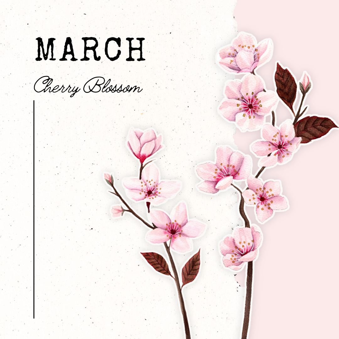 March Birth Flower- Cherry Blossom