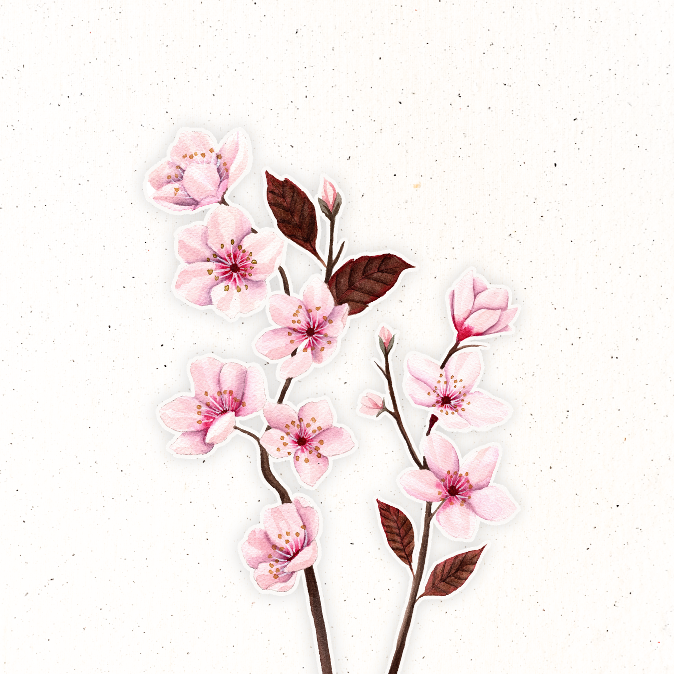March Birth Flower- Cherry Blossom