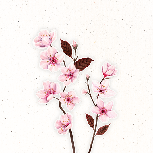 March Birth Flower- Cherry Blossom