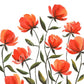 Red Orange Poppies