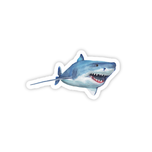Shark