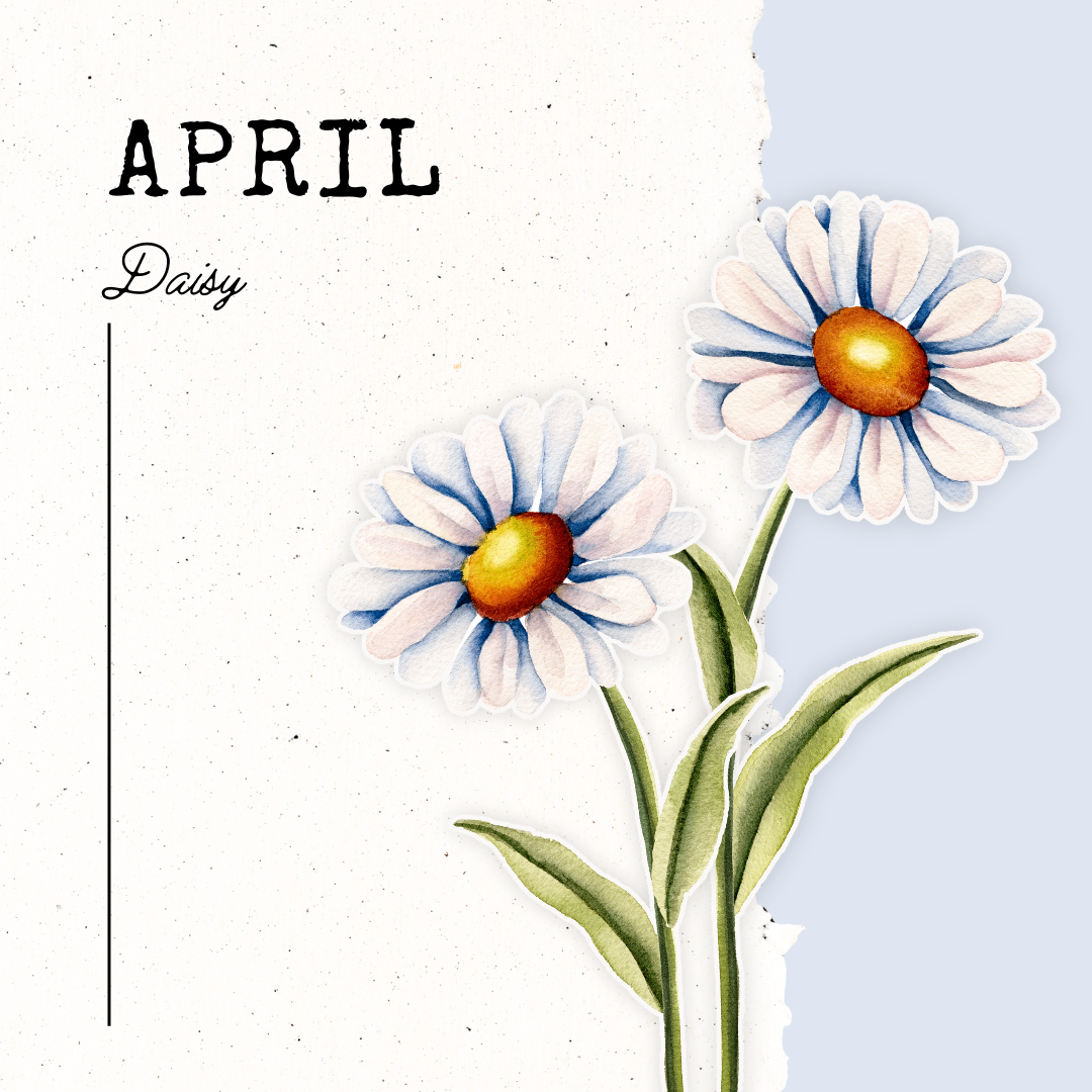 April Birth Flower- Daisy