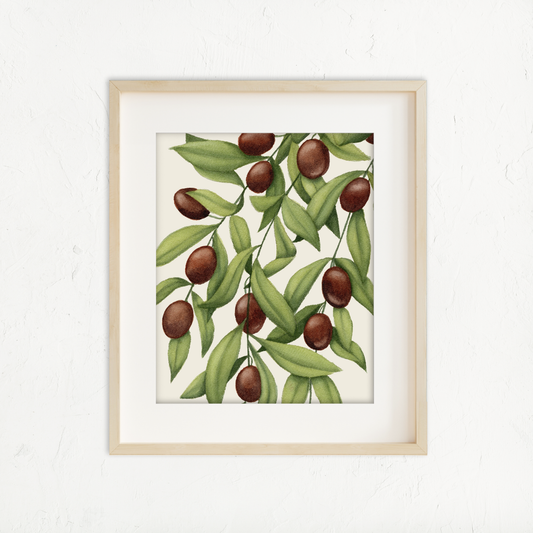 Olive Branch