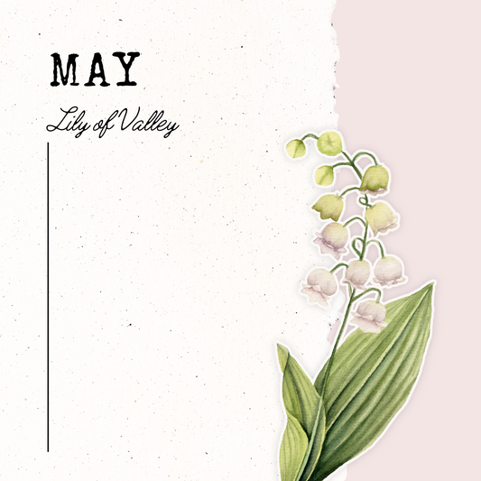 May Birth Flower- Lily of the Valley