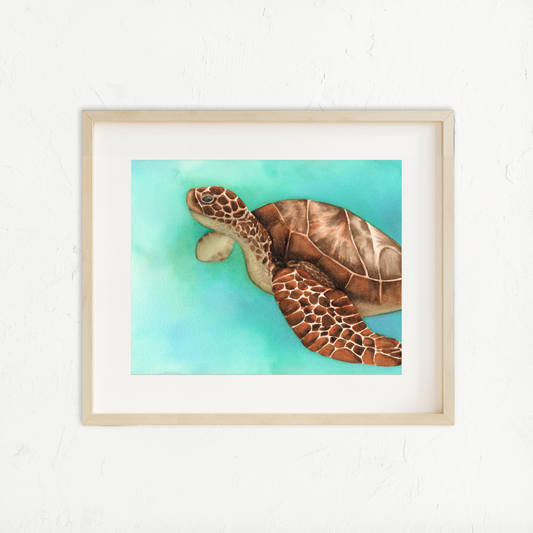 Sea Turtle