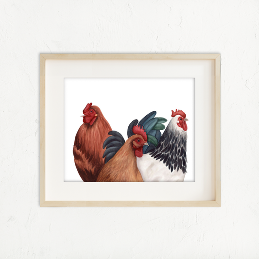 Chickens